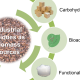 Illustration of industrial residues as a source of biomass, by courtesy of Linn Berglund.