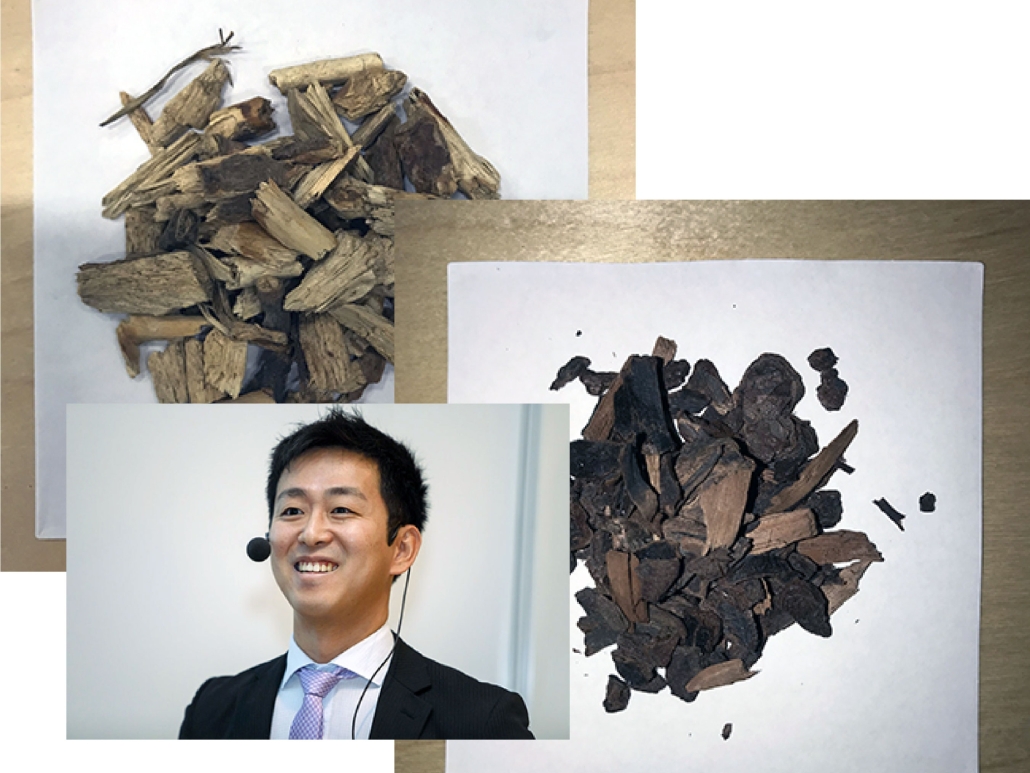 Biomass (left) must be turned into biocarbon (right) in a controlled process to be an alternative for use to fossil coal in the iron and steel industries. Kentaro Umeki is Bio4Energy's man on the job. Photos by courtesy of Kentaro Umeki, Luleå University of Technology.