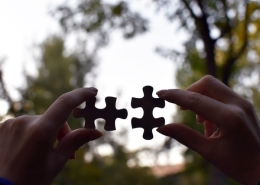 Seeing the way in which the pieces of the puzzle fit together. Photo by Vardan Papikyan, Unsplash 2022.