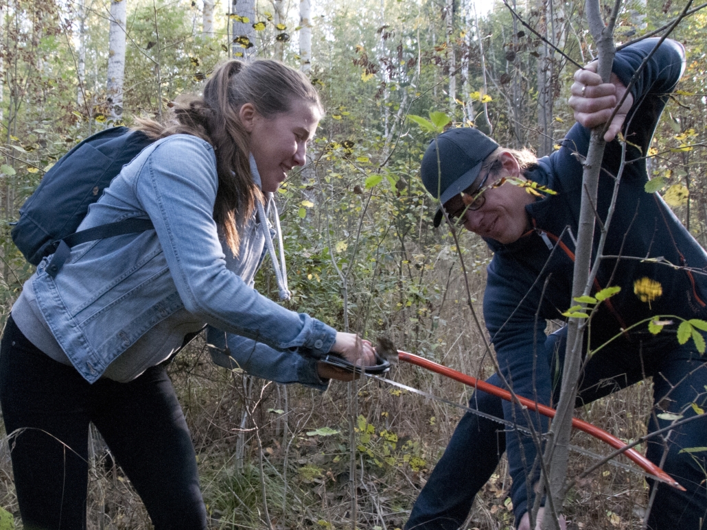 Student and teacher at field excursion, with a Bioresource Technology undergraduate programme at Umeå University. Photo by courtesy of Umeå University.