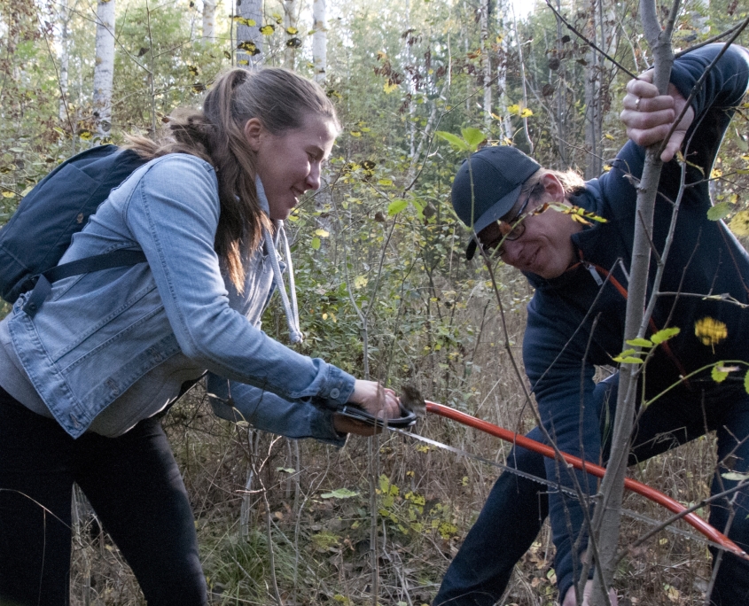 Student and teacher at field excursion, with a Bioresource Technology undergraduate programme at Umeå University. Photo by courtesy of Umeå University.