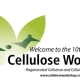 10th Cellulose Workshop Logotype.