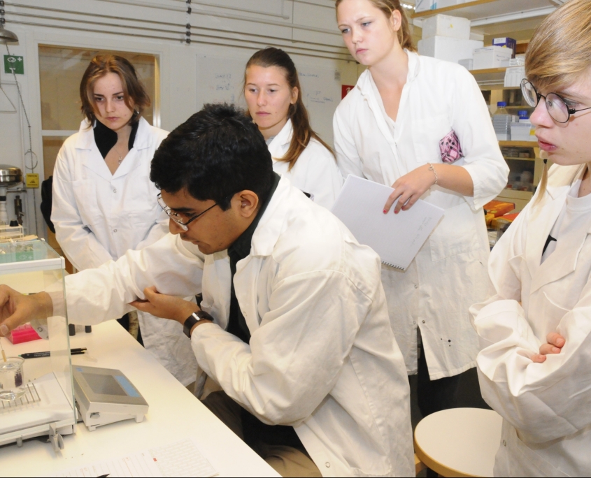Students to a Bioresource Technology undergraduate programme making experiments in the laboratory. Photo by courtesy of Umeå University.