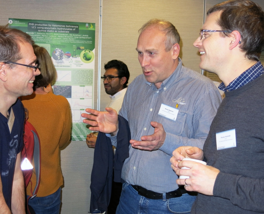 Bio4Energy Researchers' Meeting, Luleå, 21-22 November.