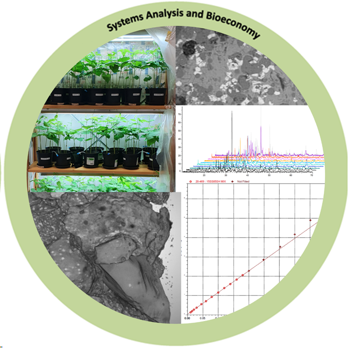 Project illustration 'Systems Analysis and Bioeconomy', courtesy of Bio4Energy Systems Analysis and Bioeconomy.