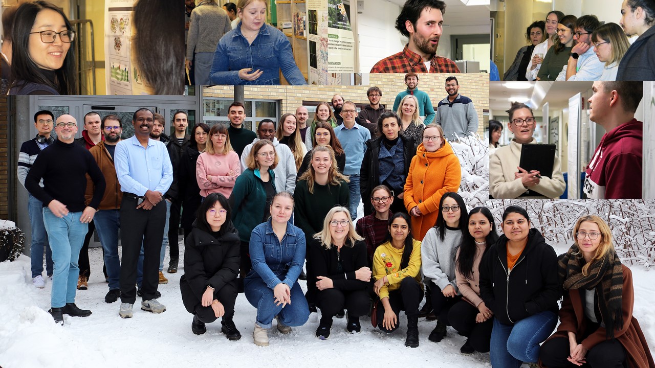Advanced students gathered at Umea, Sweden, for the course Wood Biology and Biotechnology. Photos by Anna Shevtsova and ©AnnaStrom.