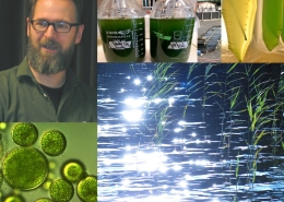 In his PhD thesis, researcher Martin Plöhn lays out a scheme for wastewater treatment using microalgae. Photos by Anna Strom and Umea University photographers.