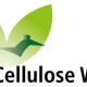 Logotype of the 11th Workshop on Cellulose, Regenerated Cellulose and Cellulose Derivatives, courtesy of Ola Sundman.