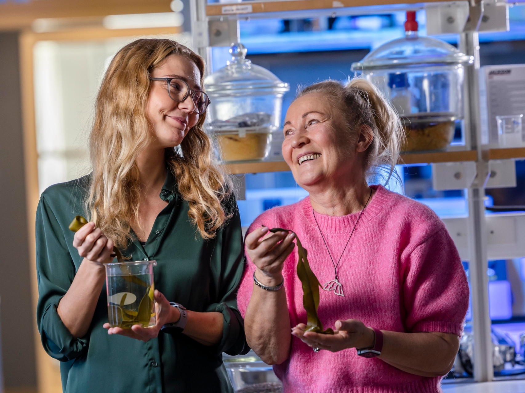 Linn Berglund and Kristiina Oksman share a smile in the hydrogel development laboratory, with kelp on display. Photo by courtesy of Kristiina Oksman.