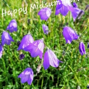 Happy Midsummer