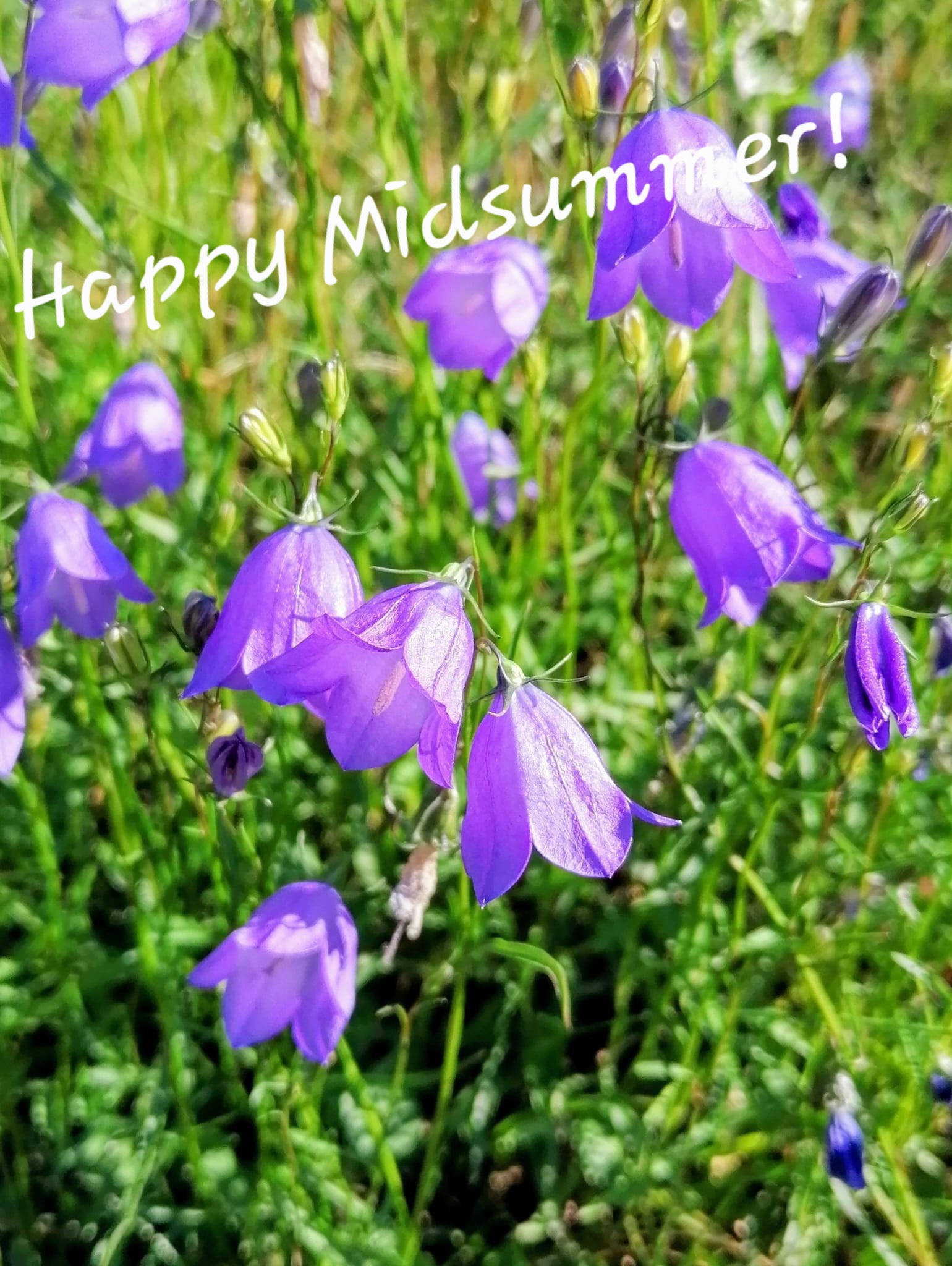 Happy Midsummer