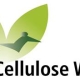 12th Cellulose workshop
